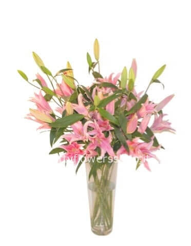 Mazzo di lilium colore rosa